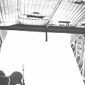 payette-93-Inside-a-Carribu-out-of-CanTho-13th- Sept-1965-354x517